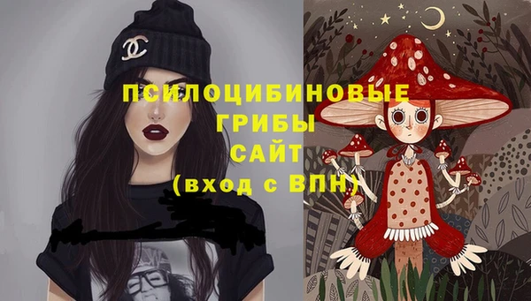 стаф Нязепетровск