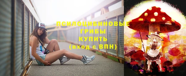 стаф Нязепетровск