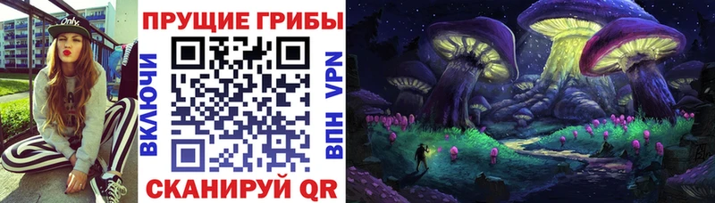 где купить наркотик  Динская  Псилоцибиновые грибы ЛСД 